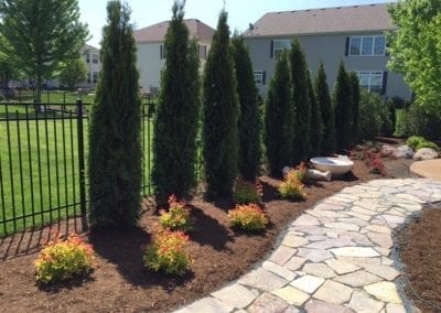 Project Gallery - Arborvitae Privacy Fence and Hardscape Installation