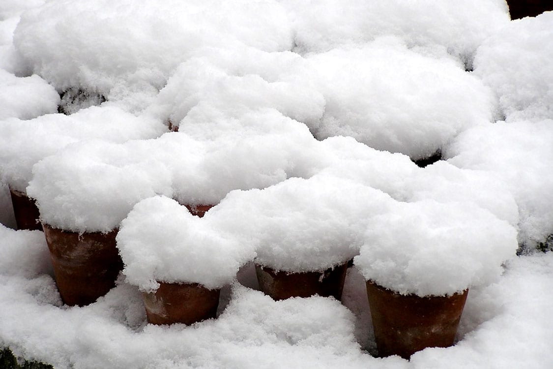 Chance of snow and cooler temperatures, what does that mean for your