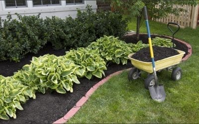 Mulch Tips & Video