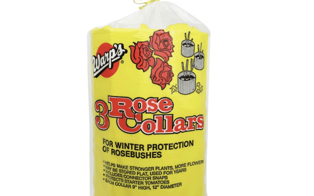Rose Collar to protect roses