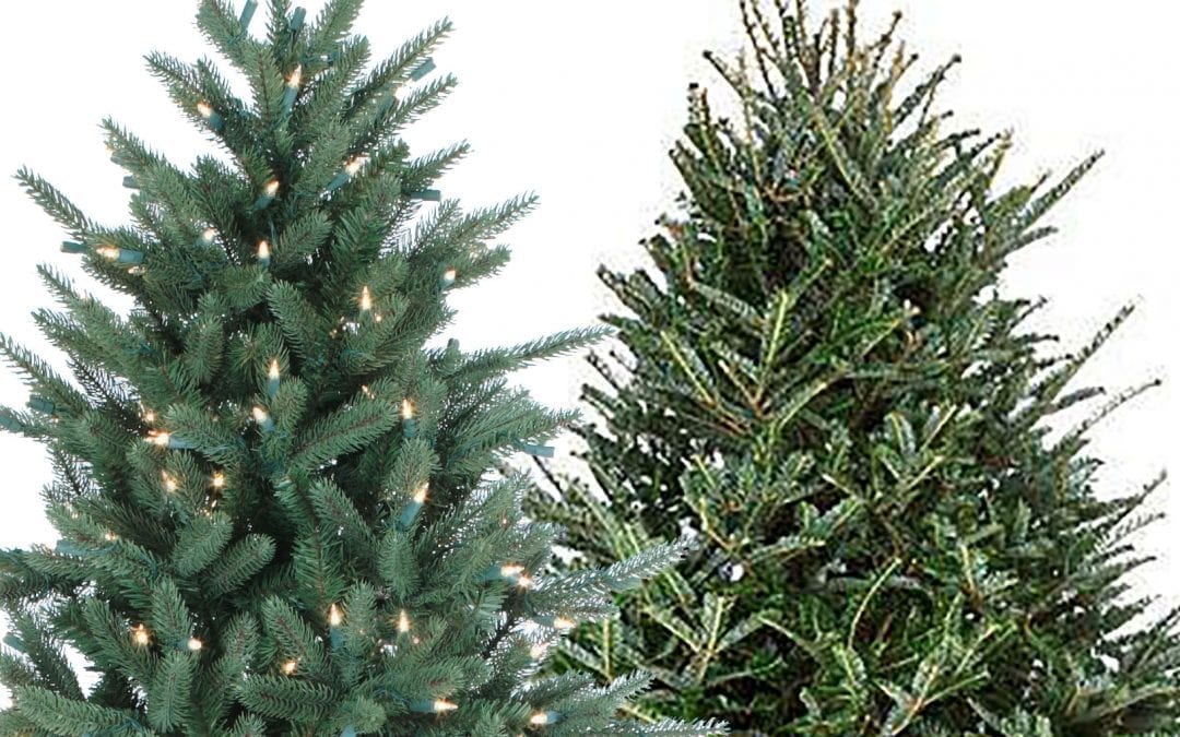 Pre-Lit artificial and fresh-cut Christmas trees