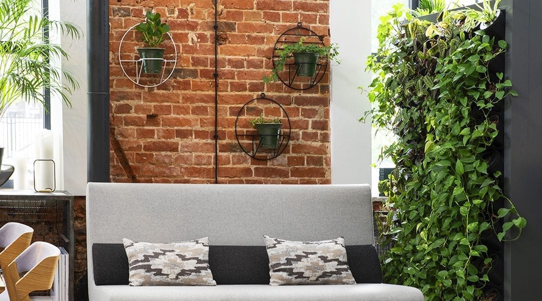 Create a Vertical Green Wall with Houseplants