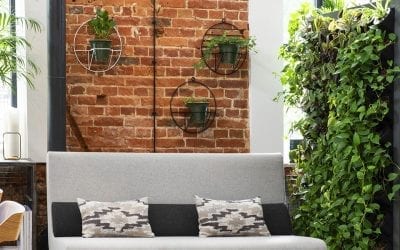 Create a Vertical Green Wall with Houseplants