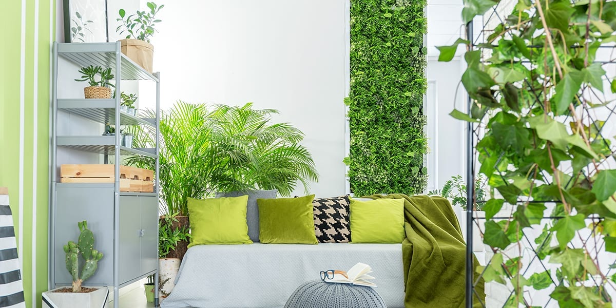 Living Walls  Living Wall Specialists  Inleaf