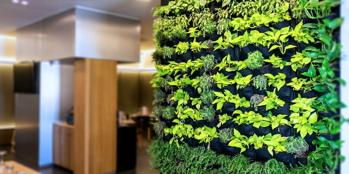creating-a-vertical-garden-modern-kitchen-with-living-wall