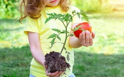 Kid-Friendly Edible Gardening Projects