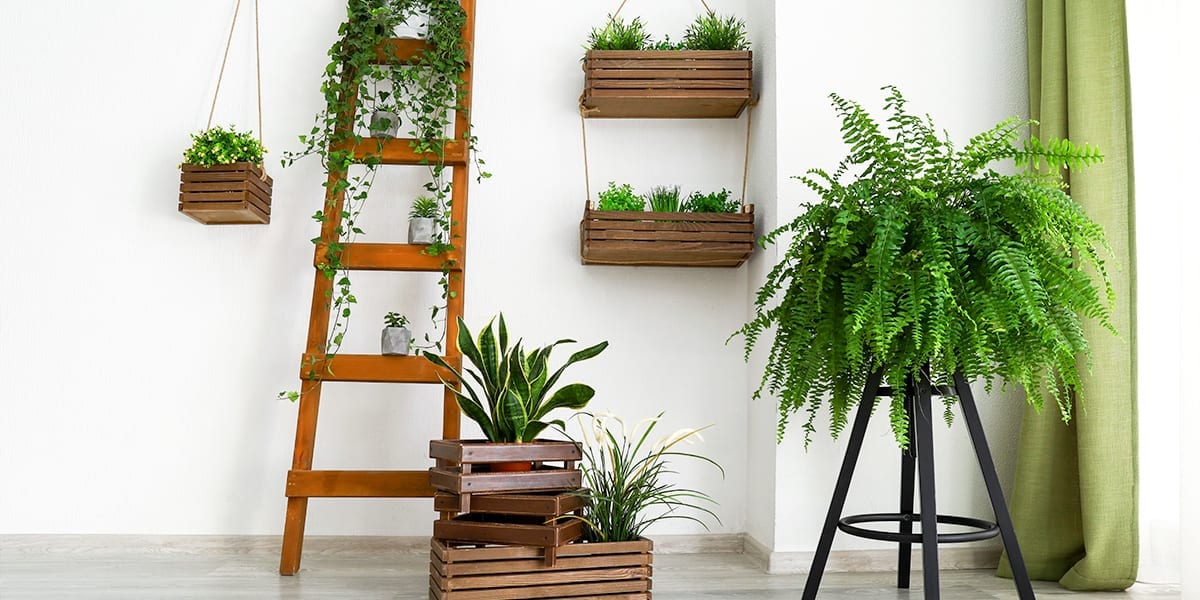 maximize-space-window-houseplants-plant-stand-and-ladder-shelves