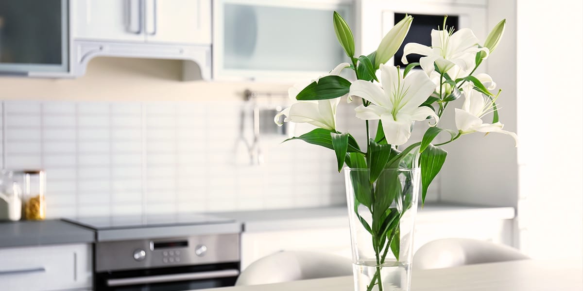 easter-lily-care-easter-lily-in-vase-kitchen