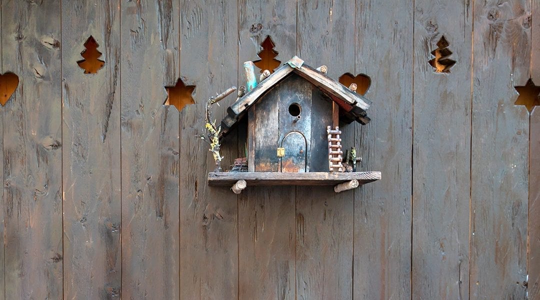gardening-crafts-for-kids-decorative-birdhouse