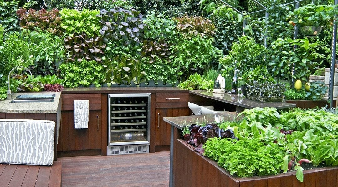Outdoor Kitchen with Edible Planters