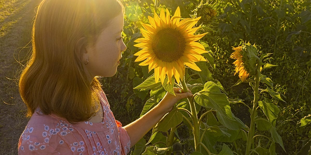 garden-plants-soothing-stress-sunflower-child