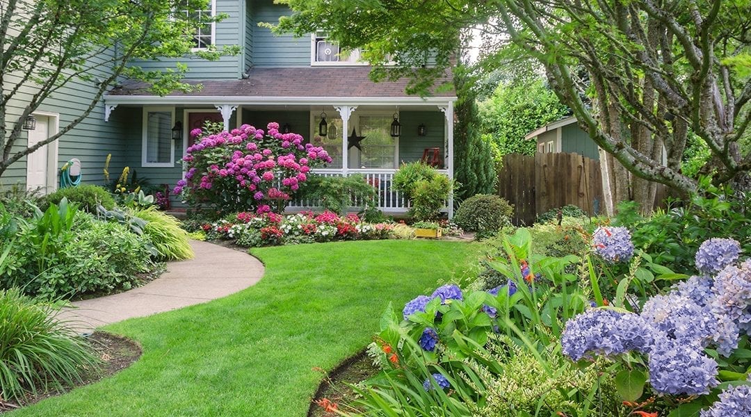 Shrubs and Perennials for a Colorful Summer Landscape