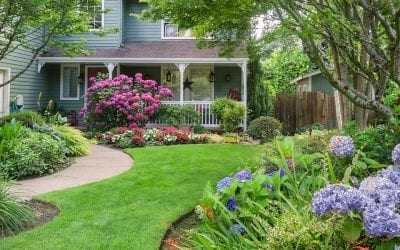 Shrubs and Perennials for a Colorful Summer Landscape