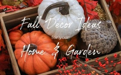 Fall Decor Ideas for Your Home & Garden