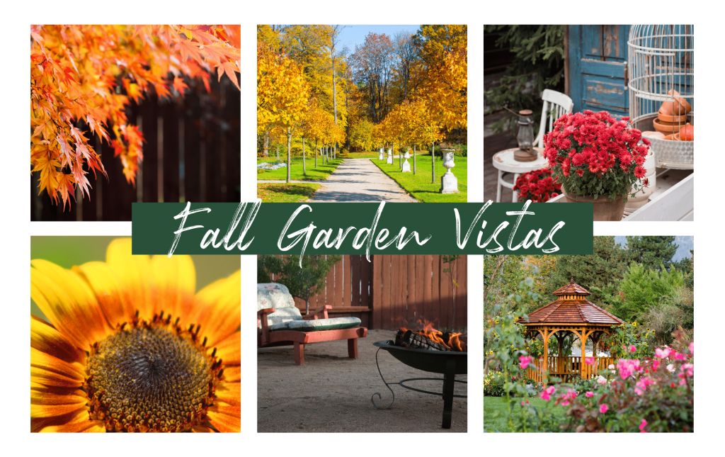 Collage image of fall garden vista ideas