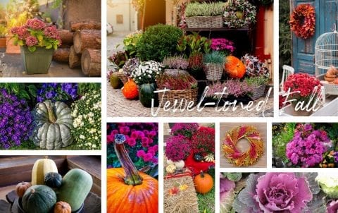 Fall Decor Ideas for Your Home & Garden | Platt Hill Nursery | Blog ...