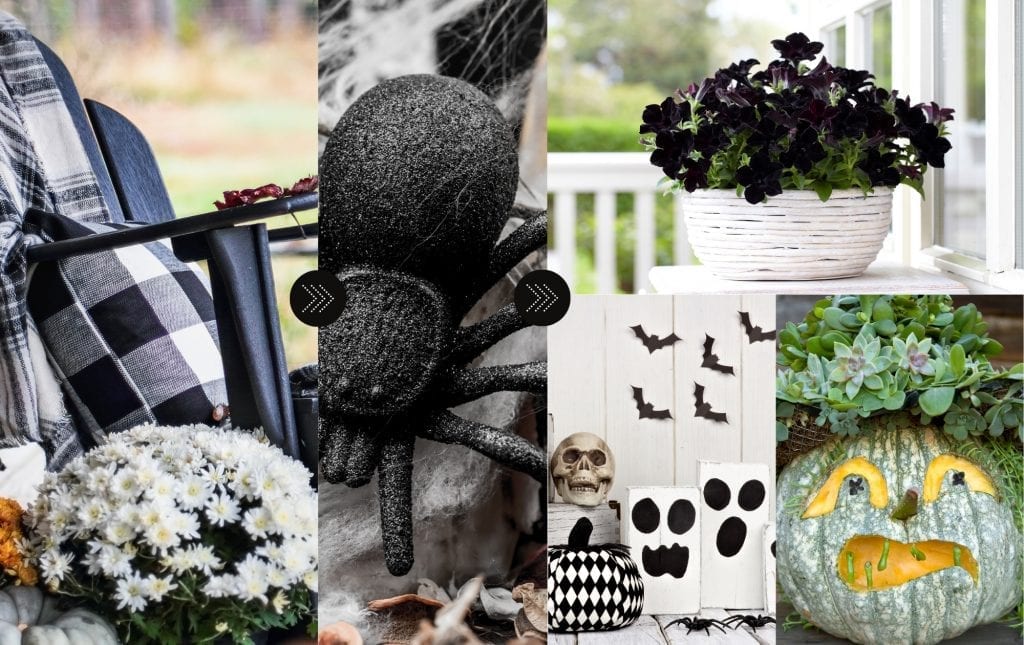 Fall decor ideas - how to transition black and white fall to halloween