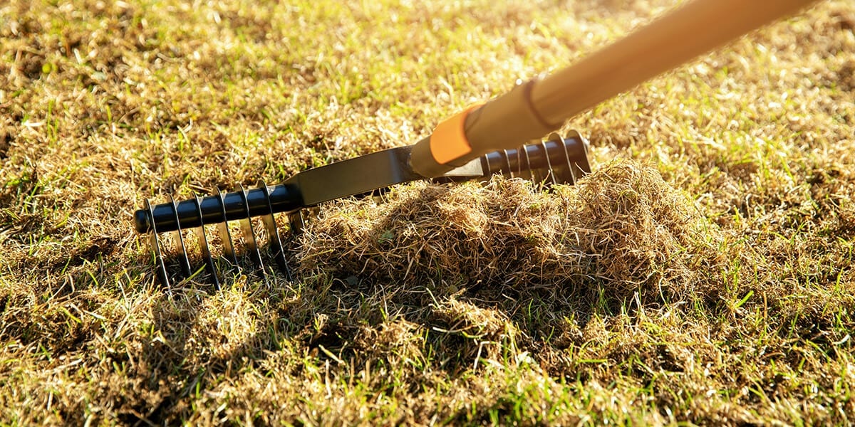 platt-hill-fall-lawn-care-checklist-dethatching-grass-rake