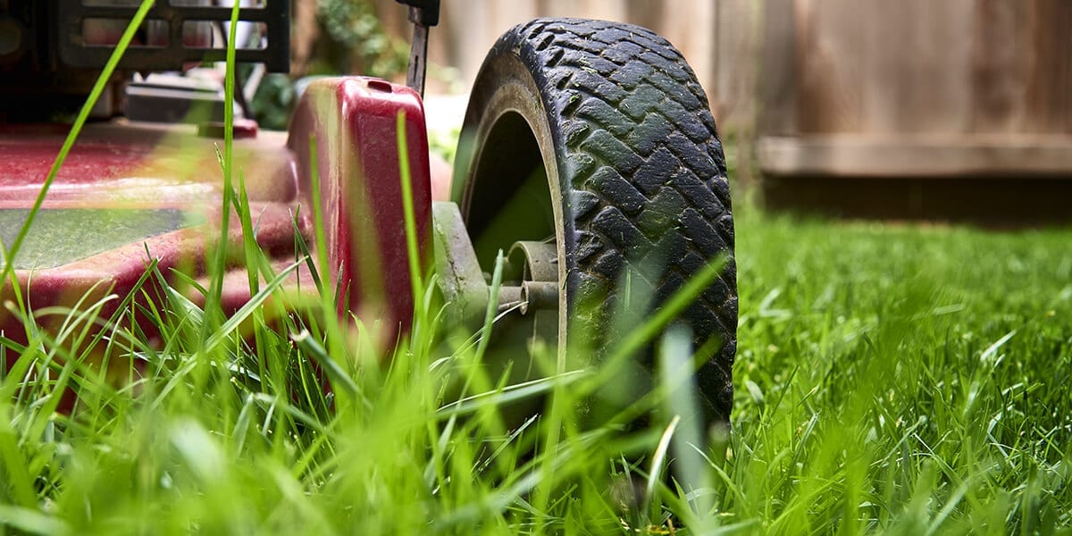 platt-hill-fall-lawn-care-checklist-lawnmower-low-grass