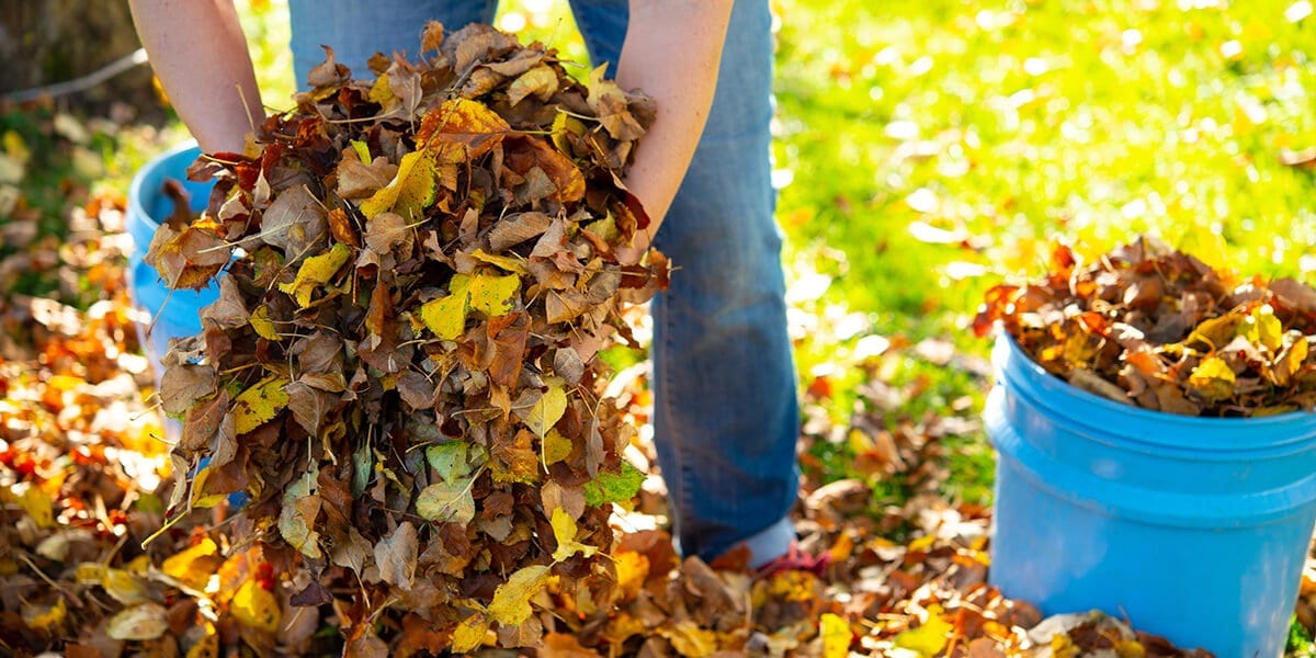 platt-hill-fall-lawn-care-checklist-person-gathering-leaves