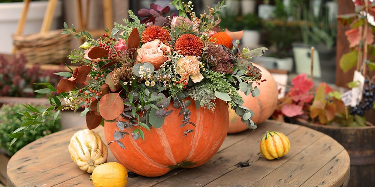 platt-hill-decorate-with-pumpkin-planter