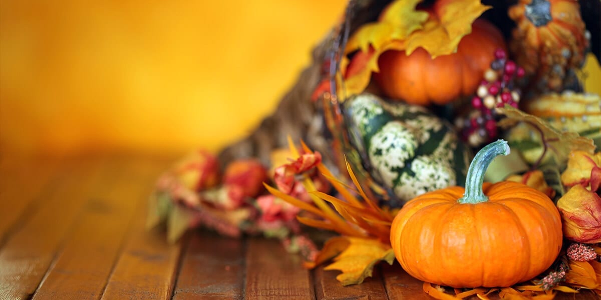platt-hill-decorate-with-pumpkins-cornucopia