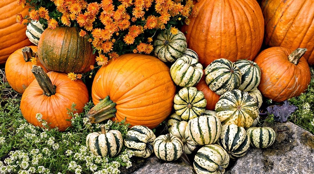 4 Creative Ways to Decorate with Pumpkins