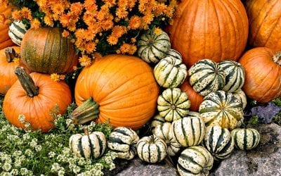 4 Creative Ways to Decorate with Pumpkins