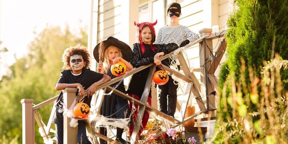 Outdoor Activities for Halloween at Home | Platt Hill Nursery | Blog ...
