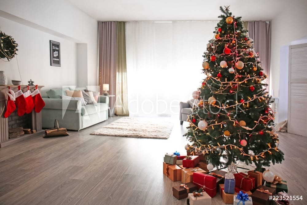 Beautiful decorated real Christmas tree in cozy living room - Fresh-cut Christmas trees in a line - Live Christmas tree - Fraser Fir - Balsam Fir - Platt Hill Nursery 