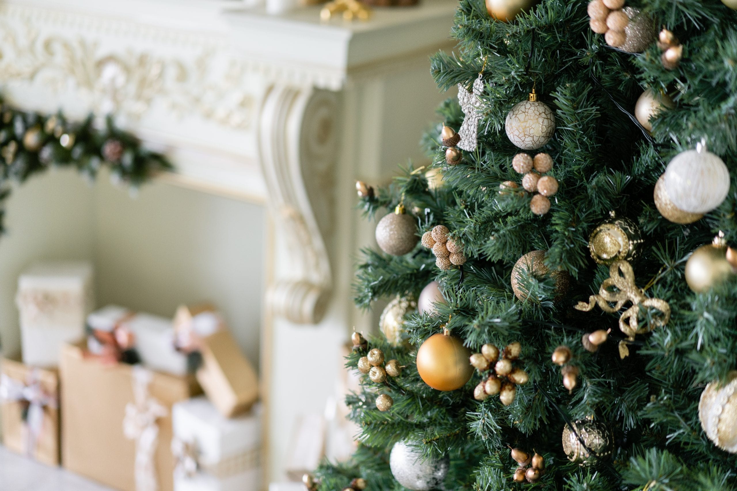 How to Pick the Best Pre-Lit Christmas Tree: A Buying Guide - Platt Hill  Nursery - Blog & Advice