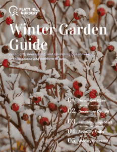 Winter Garden Guide Cover