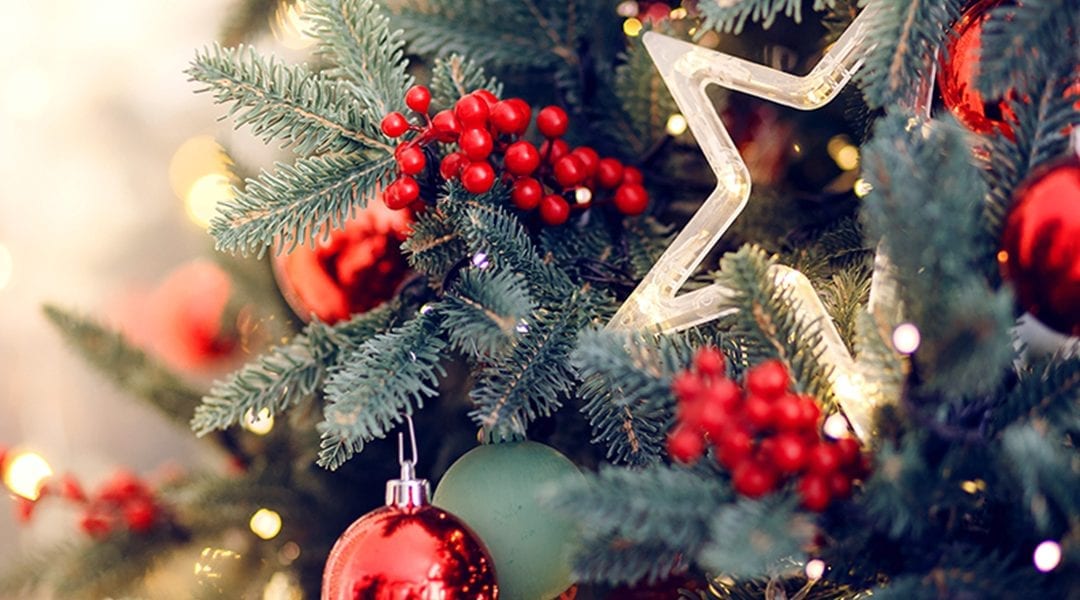 christmas tree close up with ornaments platt hill