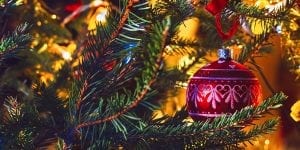 platt-hill-artificial-vs-fresh-christmas-trees-ornament-up-close