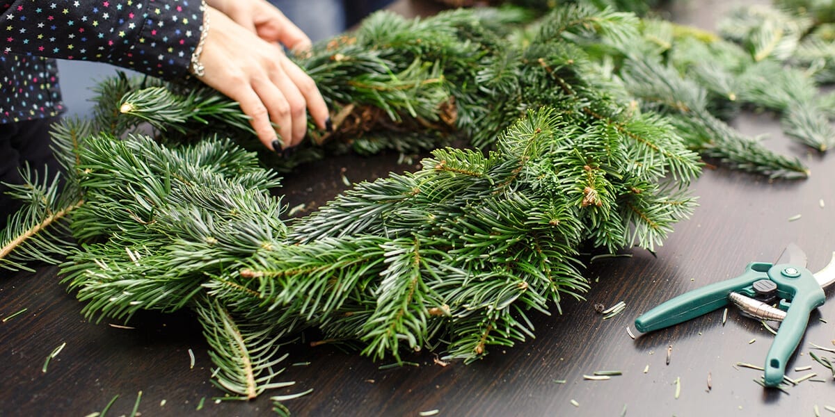DIY Balsam Fir Pine Cedar Craft Big Box of Fresh Mixed Christmas Evergreens 