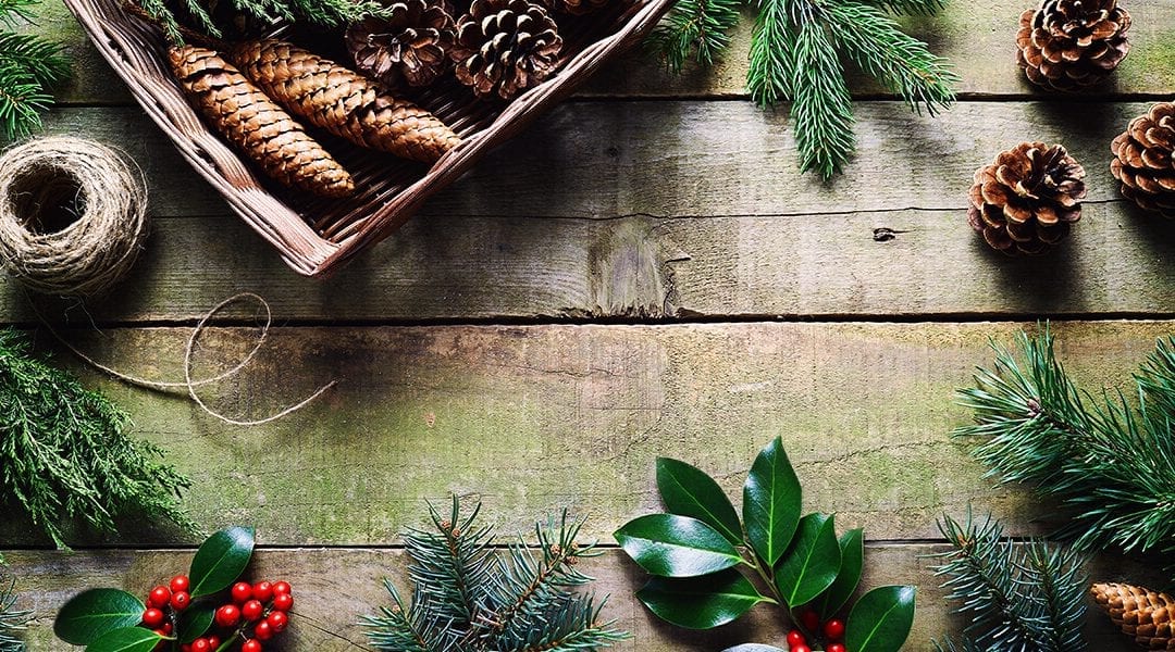 3 Simple Crafts You Can Make With Fresh Evergreens