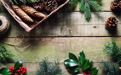 3 Simple Crafts You Can Make With Fresh Evergreens