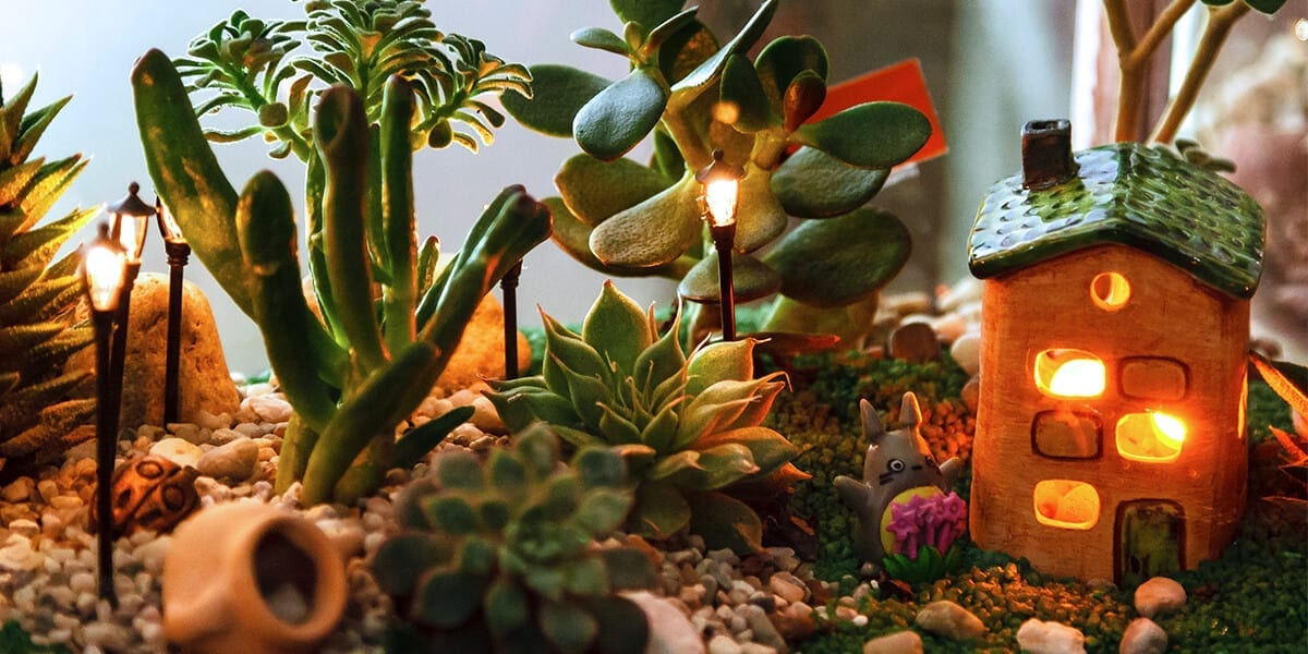 platt-hill-DIY-mini-garden-succulents-tiny-decorative-house