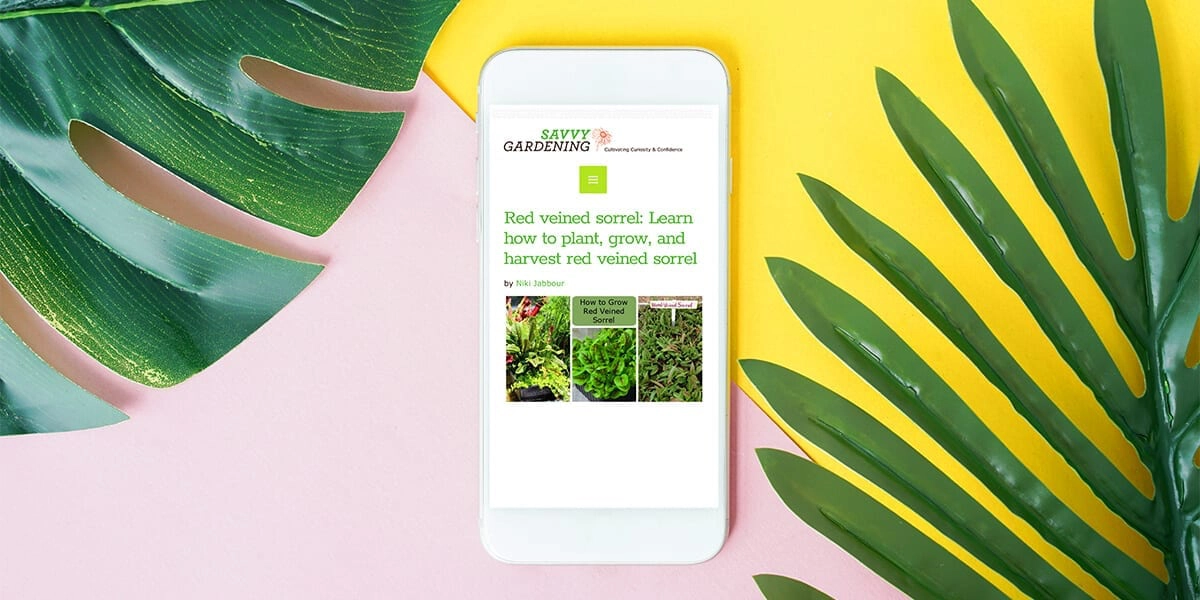 platt-hill-2021-garden-bloggers-influencers-savvy-gardening-phone-leaves