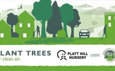 Plant Trees for Clean Air | Platt Hill Nursery