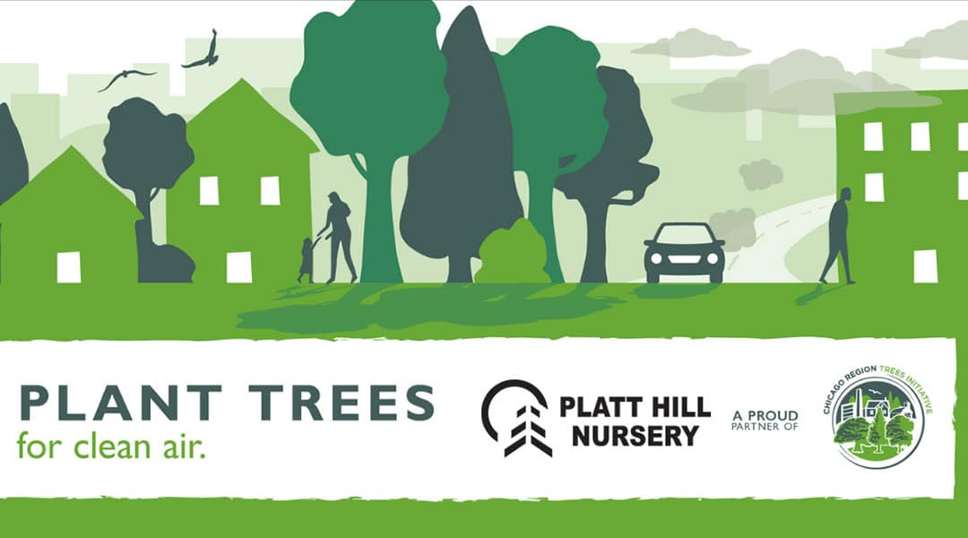 Chicago Region Trees Initiative to Plant Trees for Clean Air