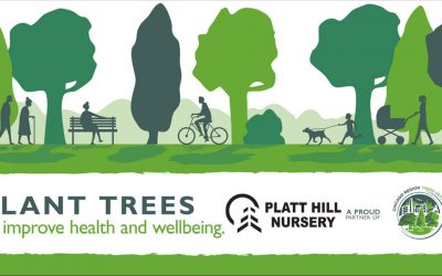 Plant Trees to Improve Health and Wellbeing | Platt Hill Nursery