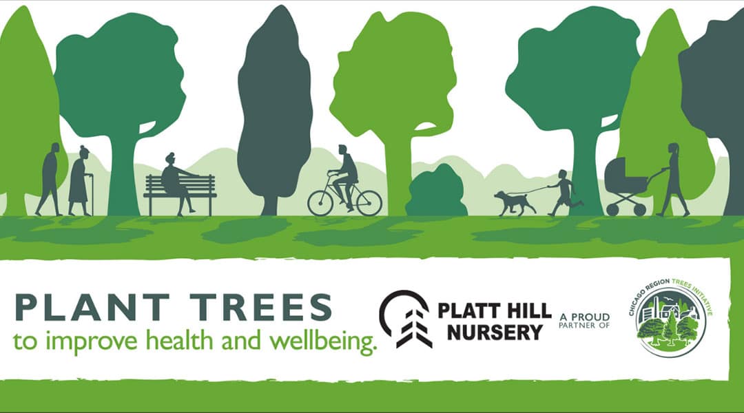 Plant trees to improve health and wellbeing