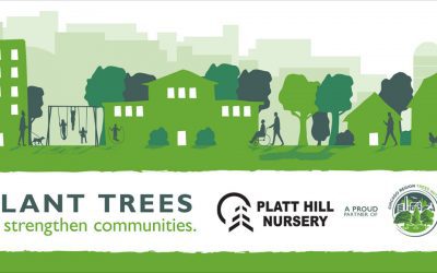 Plant Trees to Strengthen Communities | Platt Hill Nursery