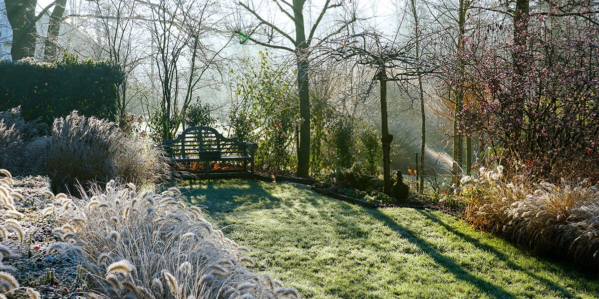 platt hill 2021 garden landscape cold spring garden