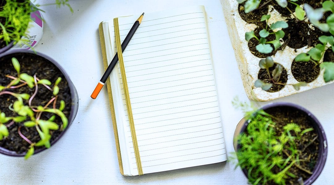 platt hill 2021 garden landscape seed starting journal