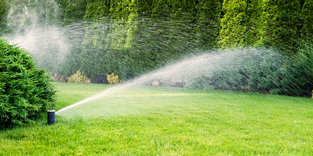 platt hill nursery fixes to common yard issues evergreen landscape irrigation sprinkler grass