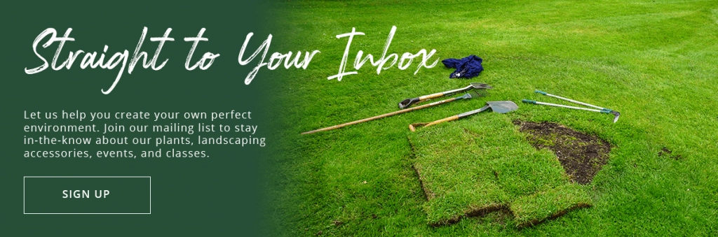 platt hill nursery lawn maintenance sod grass tools supplies subscribe button
