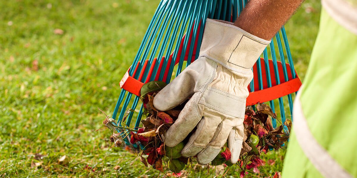platt hill nursery zone 5 landscaping maintenance checklist rake leaves