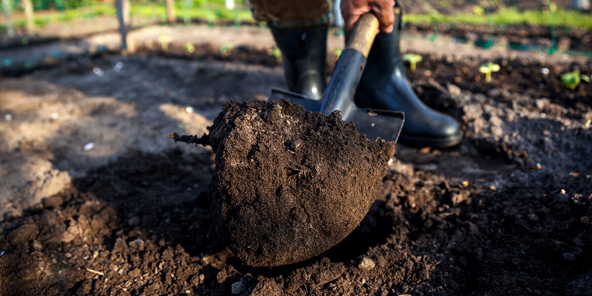 platt hill nursery zone 5 landscaping maintenance checklist tilling soil